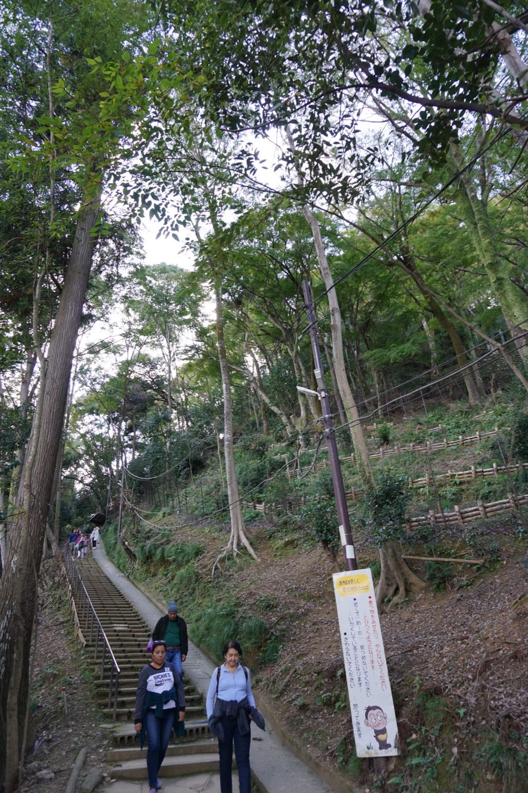 Arashiyama - Tag 7