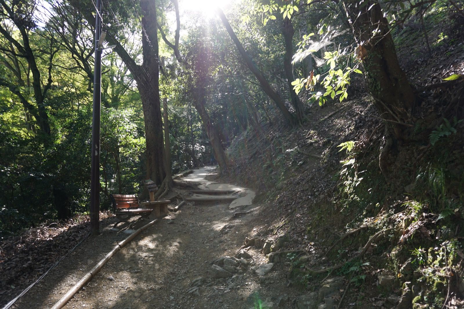 Arashiyama - Tag 7