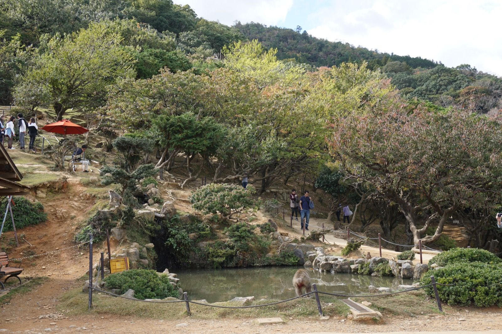 Arashiyama - Tag 7