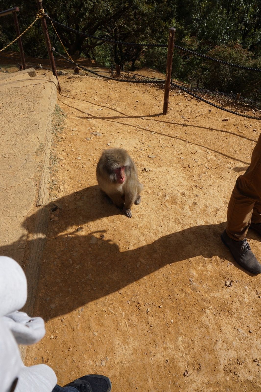 Arashiyama - Tag 7