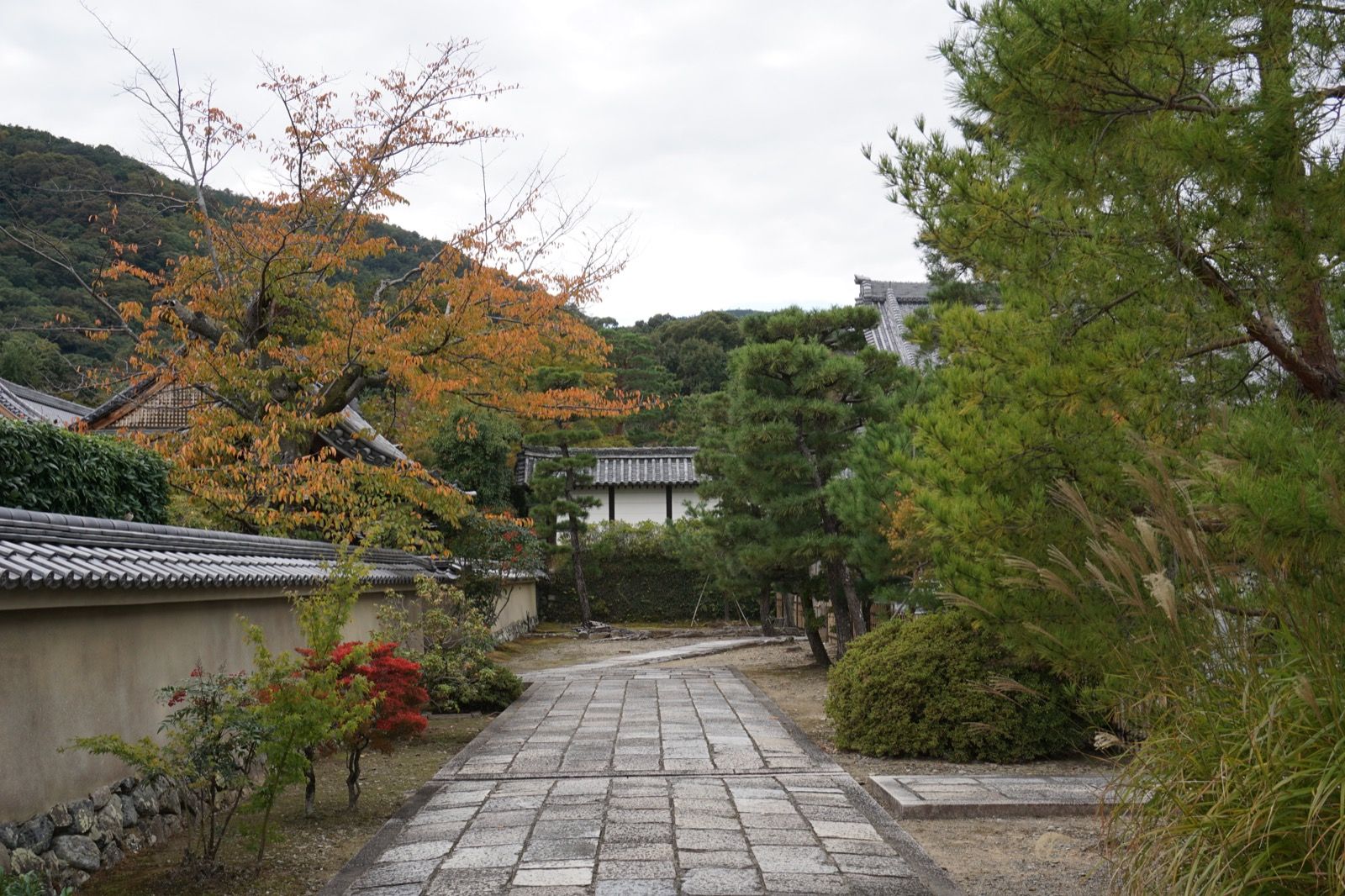 Arashiyama - Tag 7