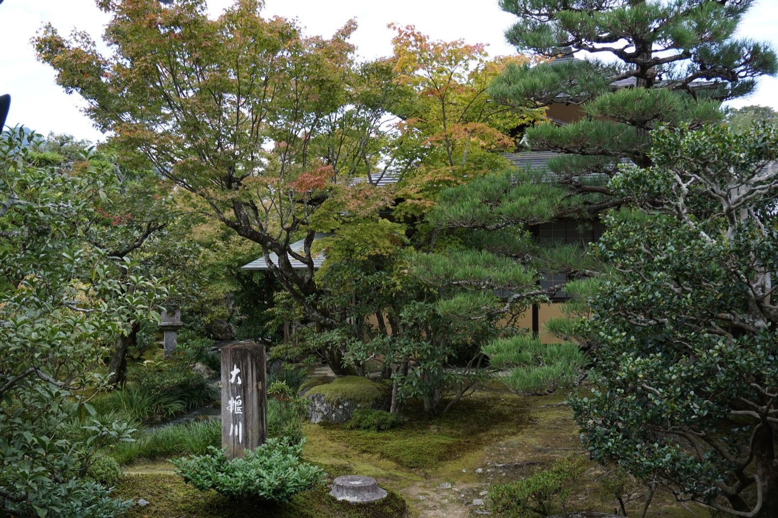 Arashiyama - Tag 7