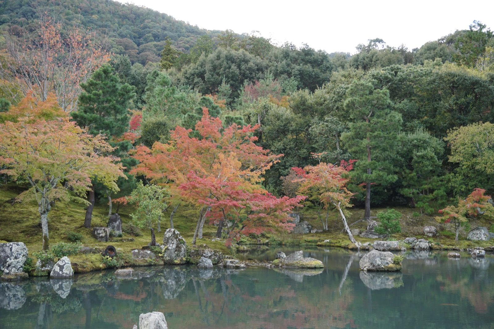 Arashiyama - Tag 7