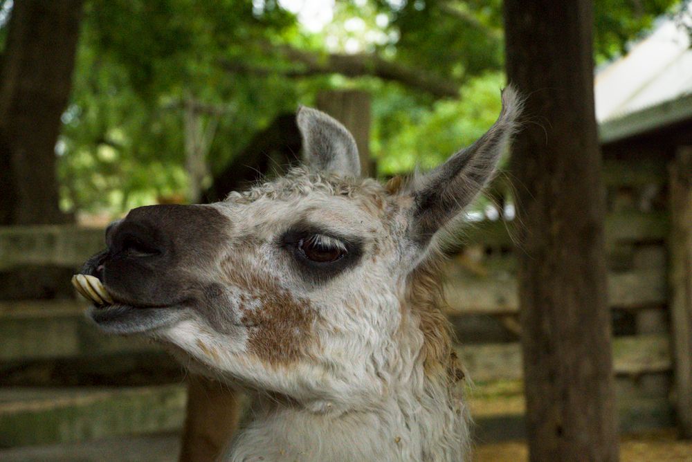 🇳🇿 Arriving in New Zealand