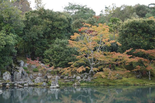 Arashiyama - Tag 7