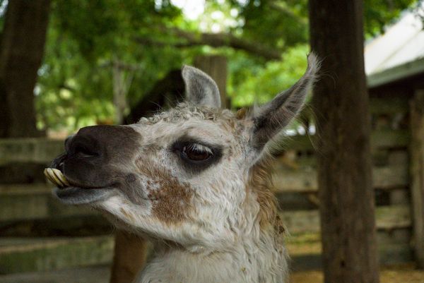 🇳🇿 Arriving in New Zealand